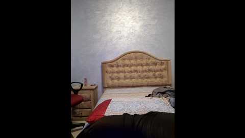 _arabica_ @ stripchat on 20241009