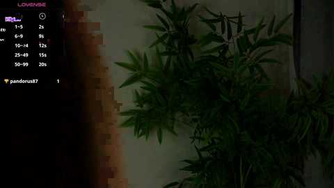 karinbates @ stripchat on 20241009