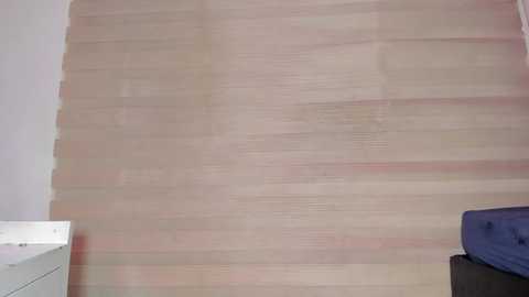 enjoy_hotparty @ stripchat on 20241010