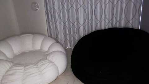 shion_040_ @ stripchat on 20241011