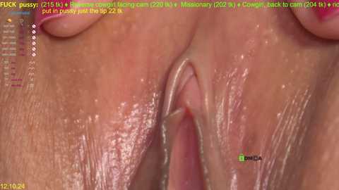 helena_play @ stripchat on 20241012