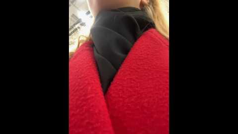 miss_elfie @ stripchat on 20241012