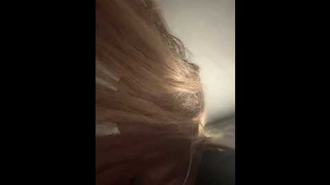 times__square @ stripchat on 20241013