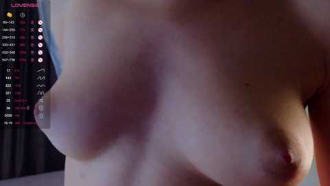 vivianapucci @ stripchat on 20241013