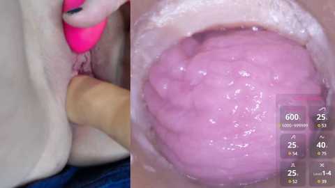 danigirl866 @ stripchat on 20241014