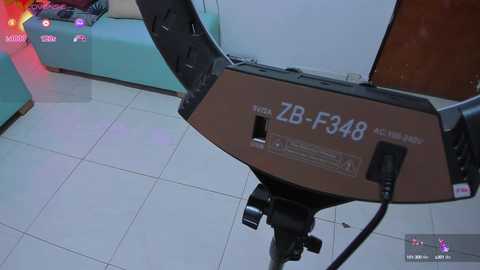 start_party @ stripchat on 20241015