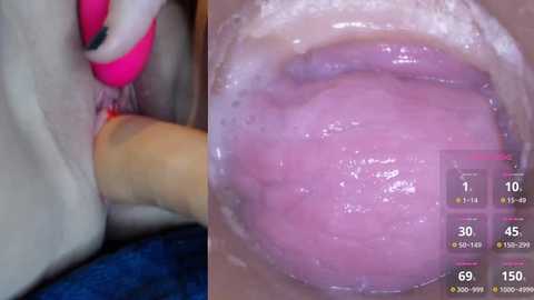 danigirl866 @ stripchat on 20241016