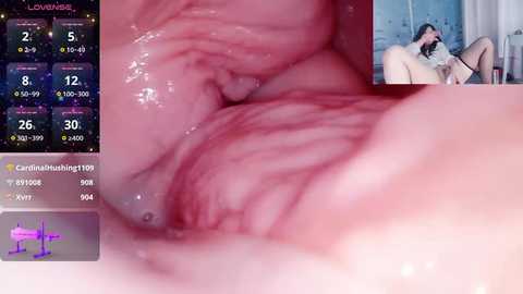 c_jiujiu199 @ stripchat on 20241017