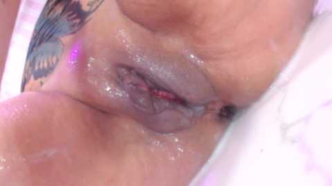 jakelinekitty @ stripchat on 20241017