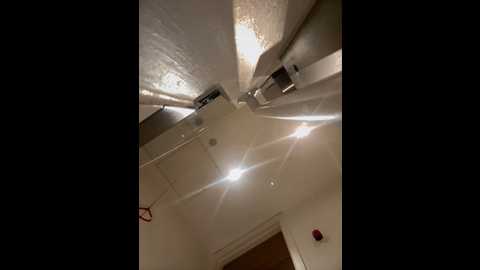 __nessa__ @ stripchat on 20241018