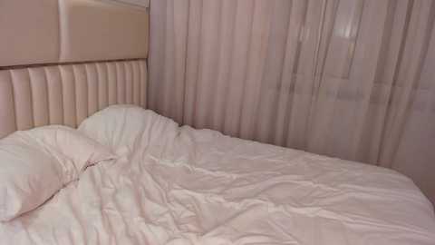little_lolla18 @ stripchat on 20241018