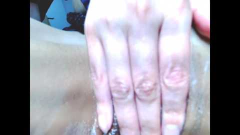 nenetan @ stripchat on 20241018