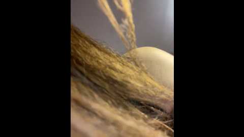 ghazala_bitsh @ stripchat on 20241019