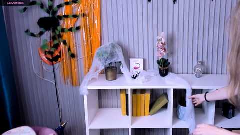 jennysi @ stripchat on 20241019