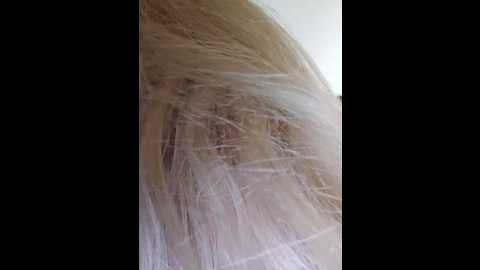 mariarichi_ @ stripchat on 20241019