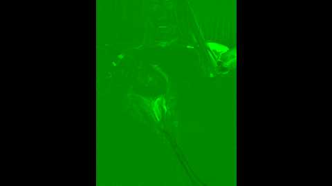 __alisson_ @ stripchat on 20241020