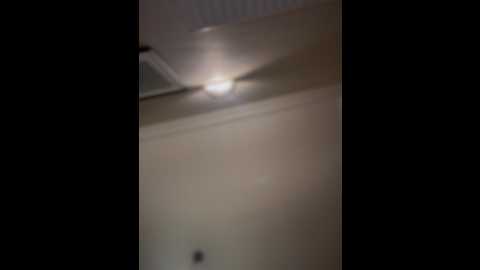 alirawrz @ stripchat on 20241020