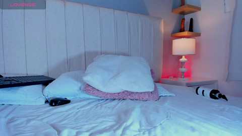 shak_ti @ stripchat on 20241020