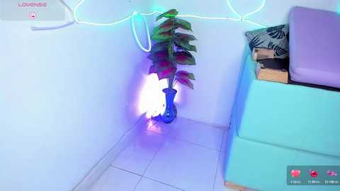 start_party @ stripchat on 20241020