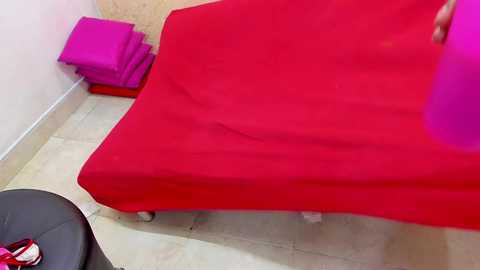 swinger_station @ stripchat on 20241021