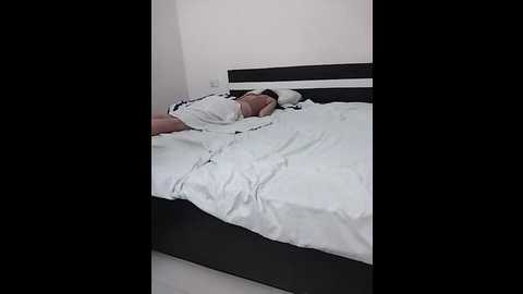 shanaya_se_xy @ stripchat on 20241022