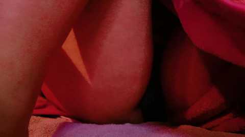 maataaan @ stripchat on 20241023