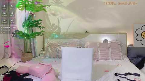 dennielle_ @ stripchat on 20241024