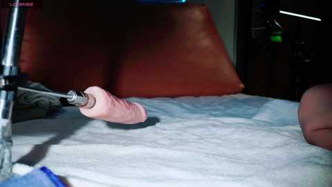 friends_sex69 @ stripchat on 20241024