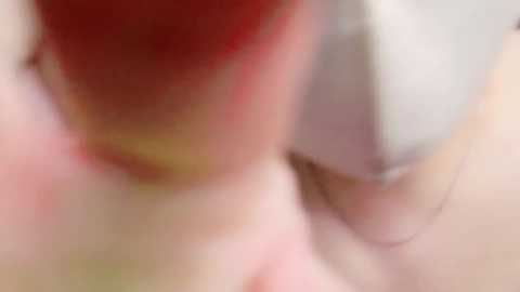 pako60_pako60 @ stripchat on 20241024