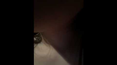 nathi_ko_xo @ stripchat on 20241025