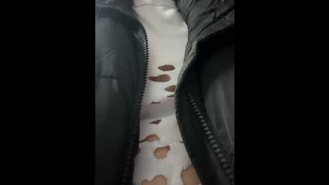 asian_asami @ stripchat on 20241026