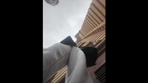 porncorn @ stripchat on 20241026