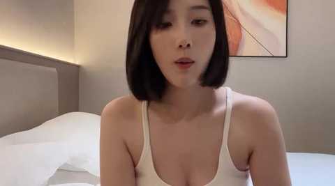 arrebo1 @ stripchat on 20241027