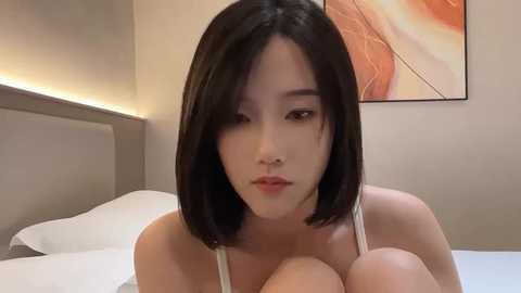 arrebo1 @ stripchat on 20241027