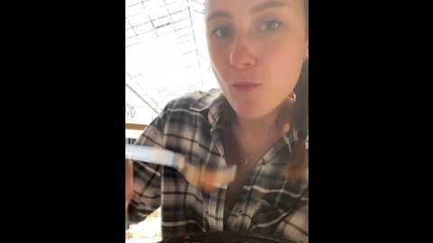 dina_tease @ stripchat on 20241027
