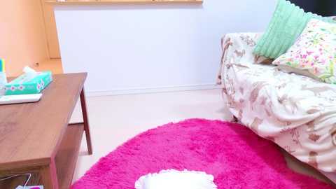 megu_melon @ stripchat on 20241027