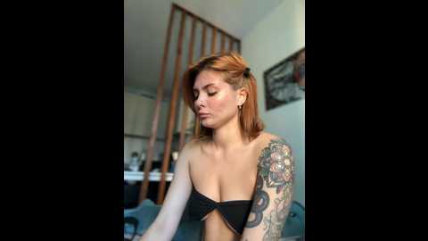 accole @ stripchat on 20241029