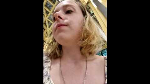 public_katrisha @ stripchat on 20241029