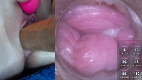 danigirl866 @ stripchat on 20241030