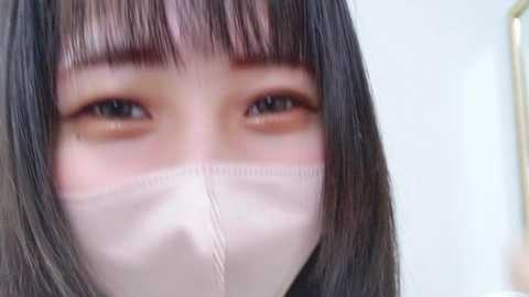 erika_syogun