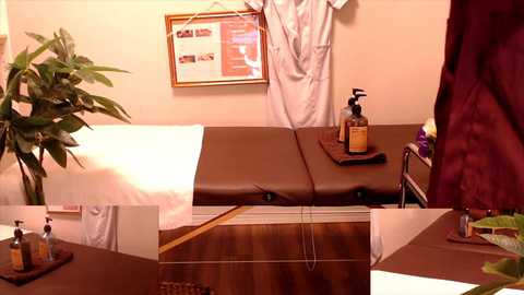 hanabi_hentai @ stripchat on 20241031
