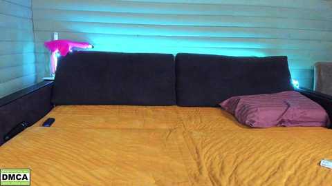 meowluv66 @ stripchat on 20241101
