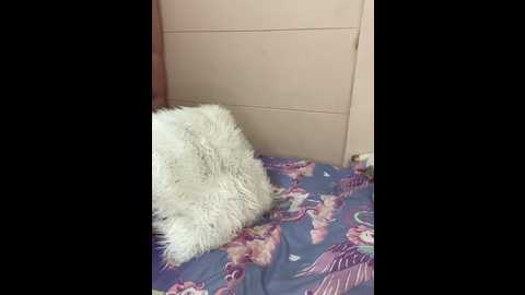 itsleyaa @ stripchat on 20241103