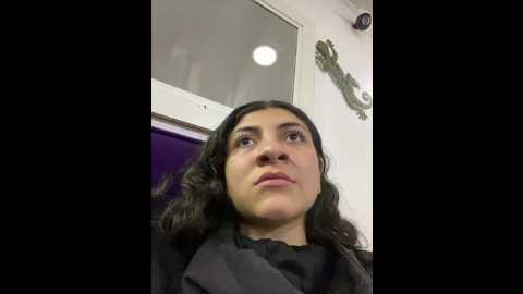 ariel_72 @ stripchat on 20241104