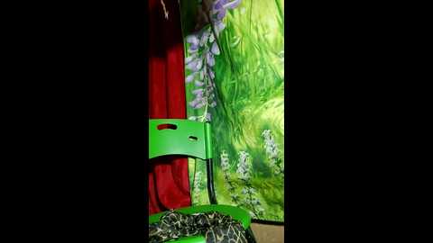 ggeraldyn_33 @ stripchat on 20241104