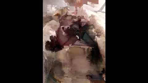 mila_dream69 @ stripchat on 20241106