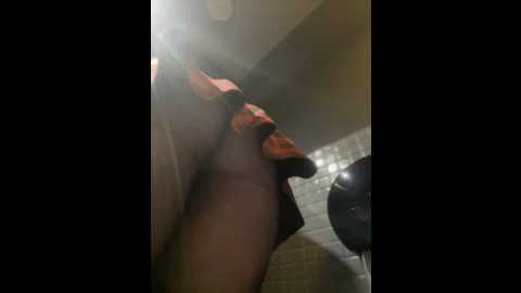 only_eva @ stripchat on 20241106