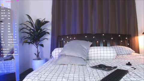 sunny_gia @ stripchat on 20241106