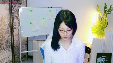 maomi_666 @ stripchat on 20241107