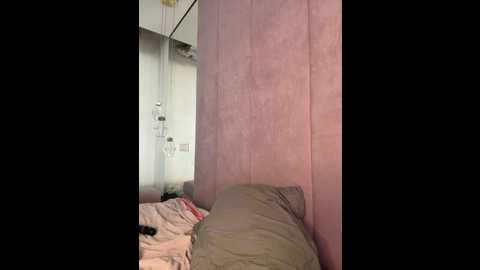 stefannichka @ stripchat on 20241108